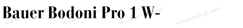 Bauer Bodoni Pro 1 W字体转换